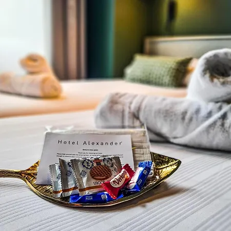 Hotel Alexander-2